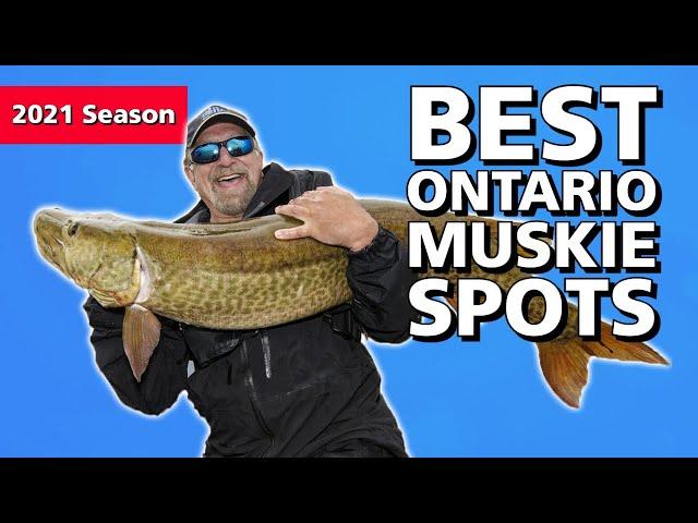 Ontario Muskie: A Lean Mean Fighting Machine