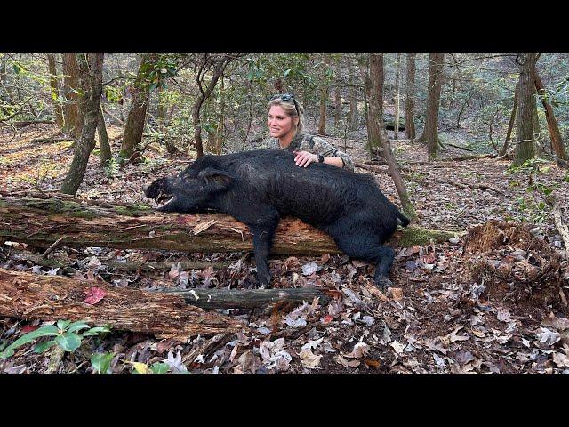 2024 HOG HUNT..NIGHT HUNTING..STABBING HOGS..BOW HUNTING..