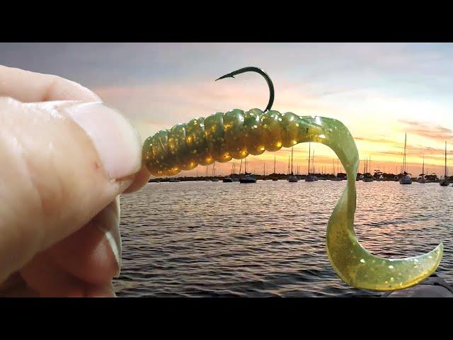 This soft plastic never lets you down FISHING FRENZY