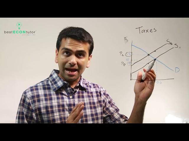 Microeconomics: Taxes and Tax Burdens