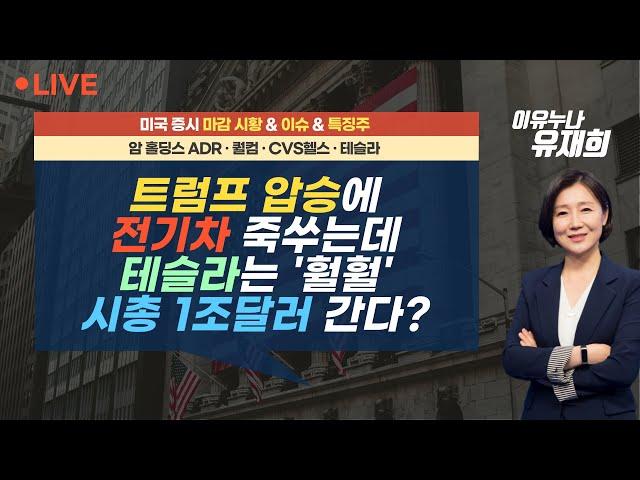 [미국 마감] 트럼프 압승에 전기차 죽쑤는데 테슬라는 '훨훨'...시총 1조달러 간다? - 이유누나 라이브 (241107)