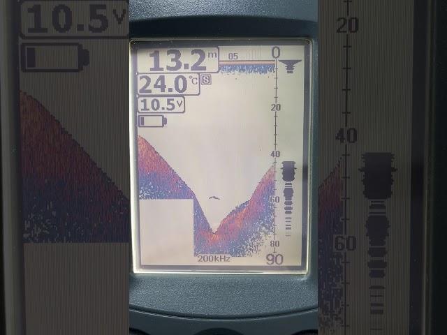 BearCreeks Echo Sounder Fishfinder Echolot BC201