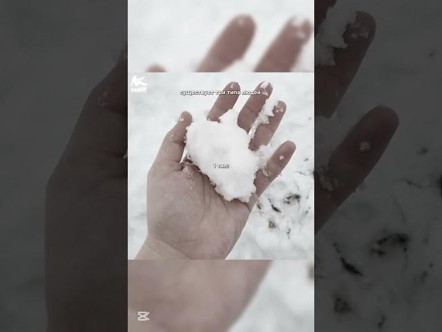 Я 1 тип, а вы?) #ви_лучшая #аниме #блэкпинк #виола #кпоп #лалисаманобан