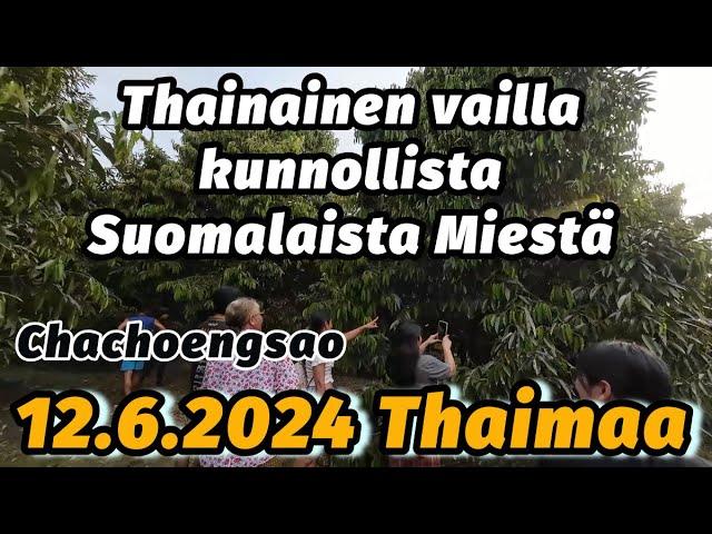 Durian Farmilla - Thainainen Kunnollista Suomalaista Miestä Vaille 12.6.2024 Thaimaa