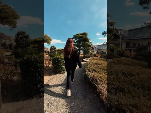 One-shot take #phonegimbal #VB4
