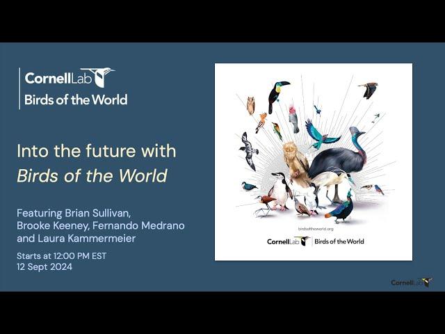 Into the Future With Birds of the World – Birds of the World Discovery Webinars