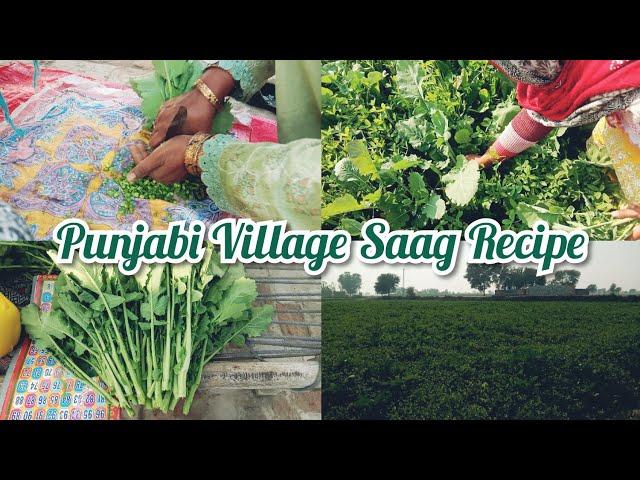 Gobhi Sarson Ka Saad  Made By Punjabi Village WomenSaag RecipeVillage Life Of Punjabi Cooking