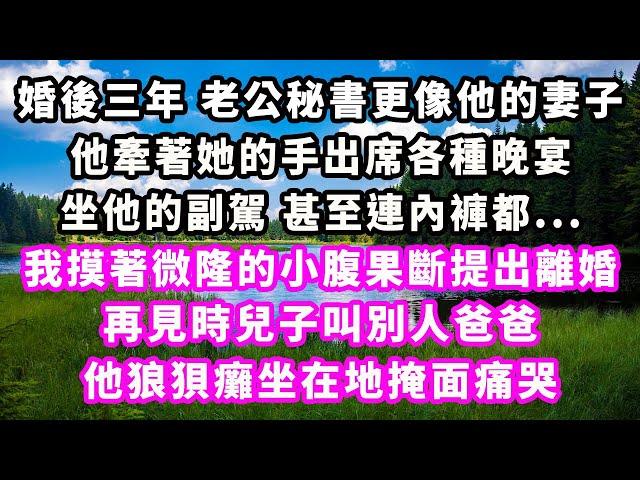 婚後三年老公秘書更像他的妻子，他牽著她的手出席各種晚宴，坐他的副駕甚至連內褲都...我摸著微隆的小腹果斷提出離婚，再見時兒子叫別人爸爸，他狼狽癱坐在地掩面痛哭#爽文完結#一口氣看完#小三#豪門#霸總