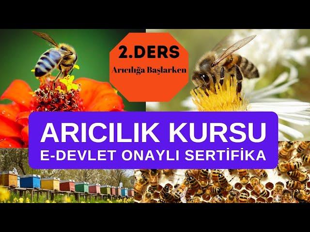 Arıcılık 2. Ders