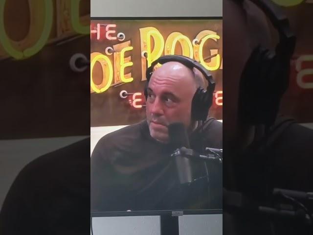 Young Jamie Cuts Off Joe Rogan And Regrets It Instantly