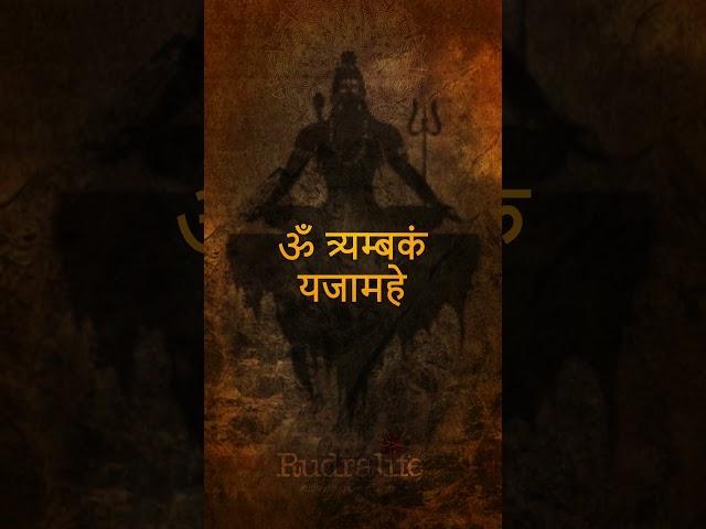 Most Powerful Mantra of Lord Shiva  | Rudralife #mantras #puja #mahamrutyunjaymantra