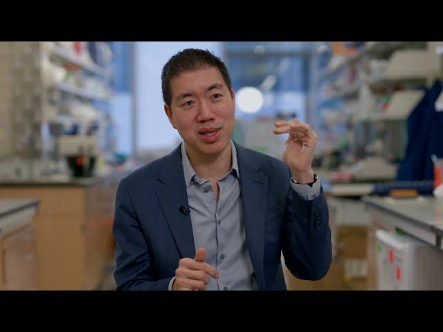 The Gene Editor: 2025 Breakthrough Prize Winner David Liu
