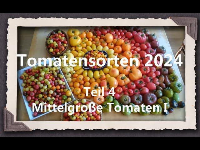 Tomatensorten 2024 Teil 4 - Mittelgroße Tomaten I