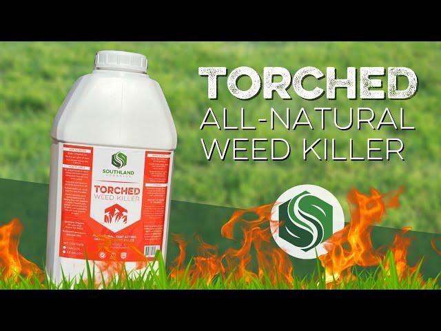 TORCHED All-Natural Weed Killer by Southland Organics