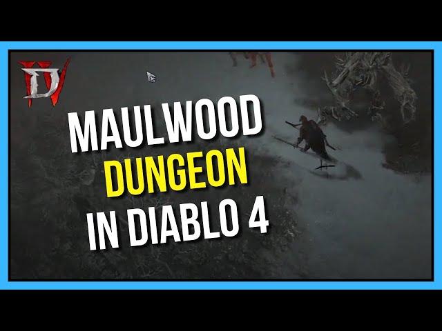 Diablo 4 - Nightmare Rogue Gameplay at Maulwood Dungeon