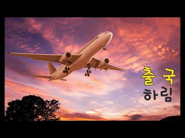 하림 - 출국(가사)