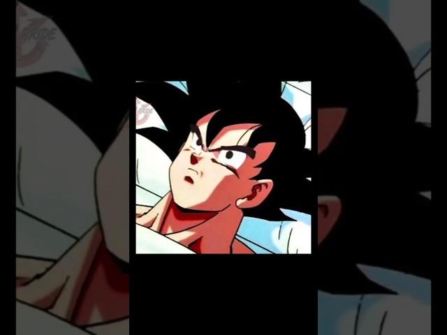 DRAGON BALL MEMES 217% 