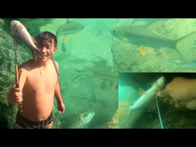 underwater spear fishing || fishing in nepal || fishing in Aadhikhola || syangja