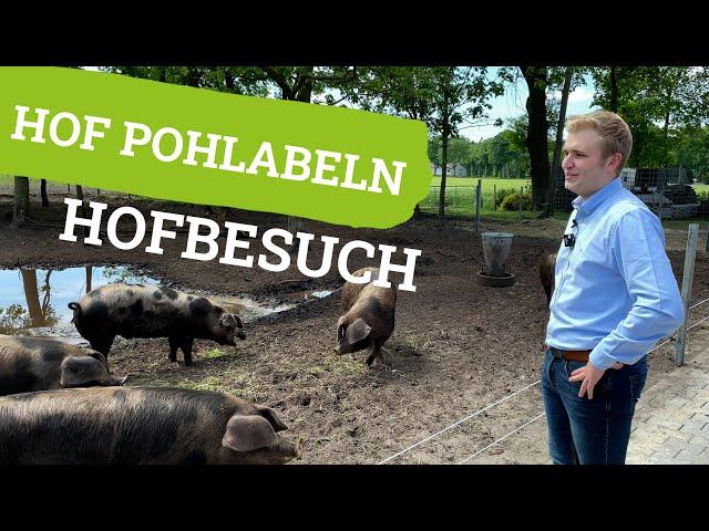 Hofbesuch Hof Pohlabeln