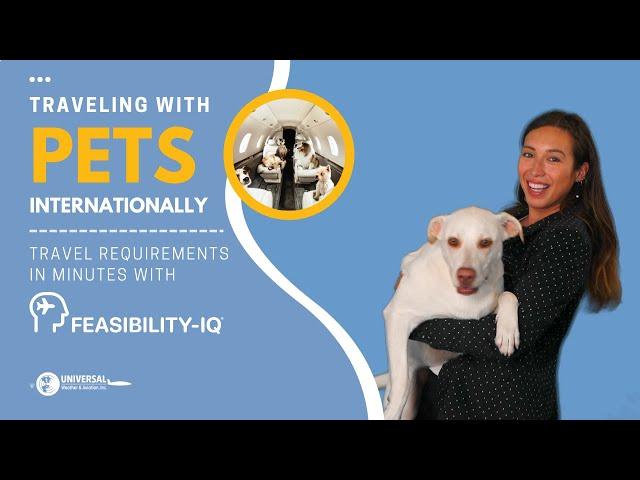 Traveling with Pets Internationally | Get requirements in minutes