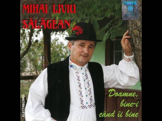 Drumu pe care mă duc - Mihai Liviu Sălăgean