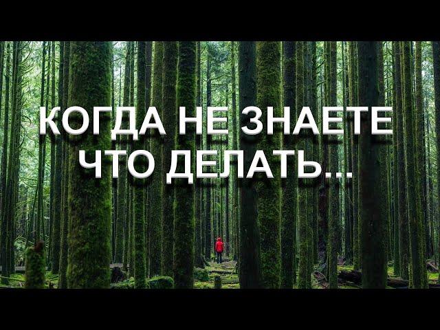 КОГДА НЕ ЗНАЕТЕ ЧТО ДЕЛАТЬ [Э. Толле, озв. Никошо]