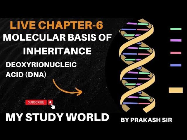 molecular basis of inheritance