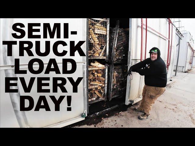 HE MAKES A SEMI TRUCK LOAD OF BUNDLED FIREWOOD... EVERY DAY!