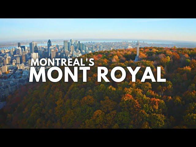 Montreal’s ‘Central Park’ Mountain That Gave The City Its Name