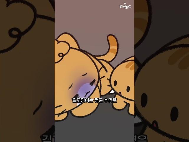 길고양이가 일찍 죽는 이유는?