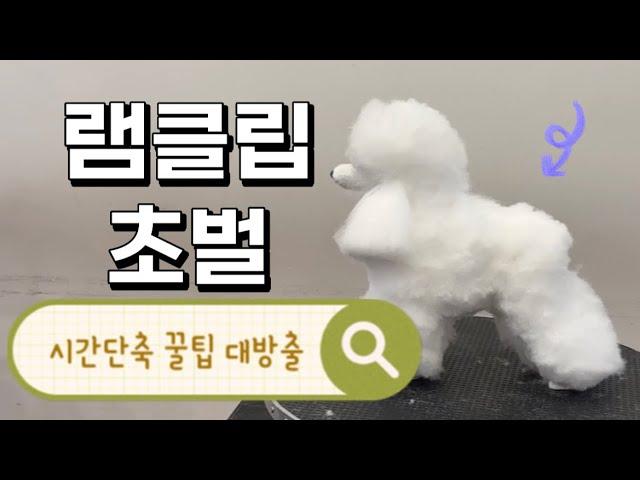 램클립 초벌 ️ 시간 확 줄여볼게요! #램클립