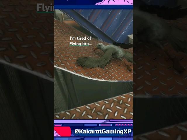Even the bird was shook 
