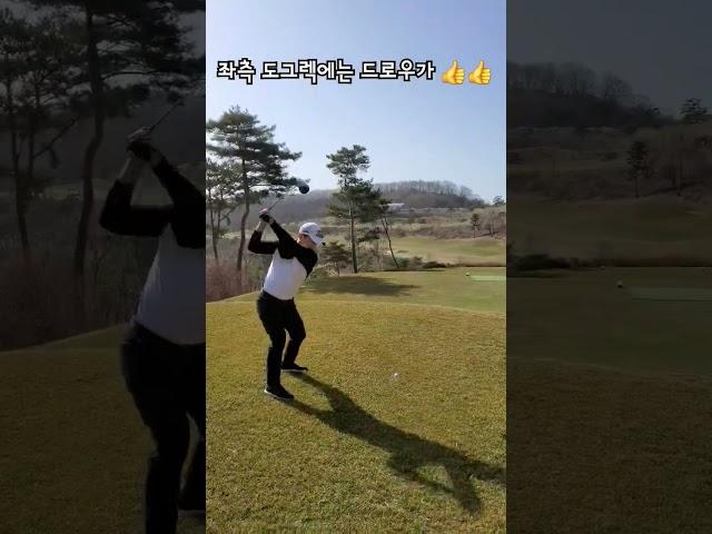 파5는 못참지~~ 4번 아이언으로 2온 성공 #골프레슨동영상 #golf #장타의조건 #골프연습 #골프 #골프레슨맛집 #골프레슨 #골프스타 #골프스윙 #golfswing