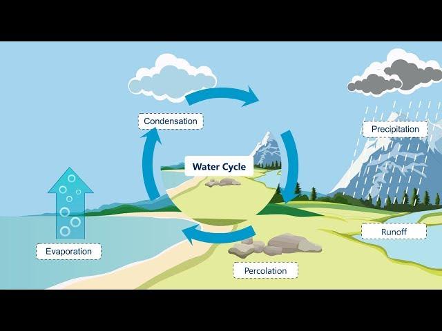 #Watercycle process | #hydrologicalcycle| #Watercycle Explanation | #letsgrowup