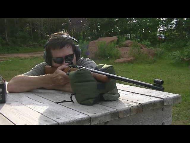 .22 Ammo Testing in the BSA Supersport Five