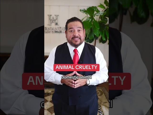 New animal cruelty laws in Texas!   #texas #viral #lawyer #animals #animalcruelty