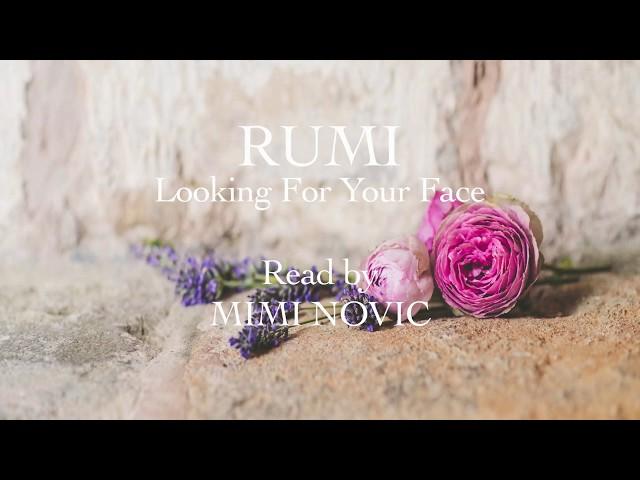 Rumi- Looking For Your Face - Mimi Novic