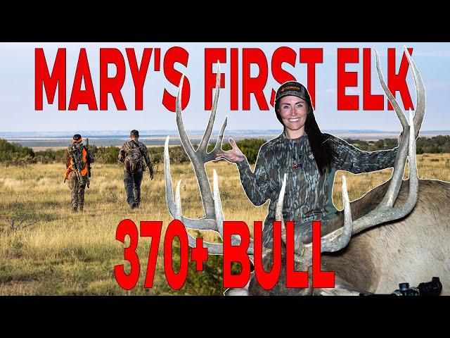 Mary's first Elk! 370+ BULL OF A LIFETIME!