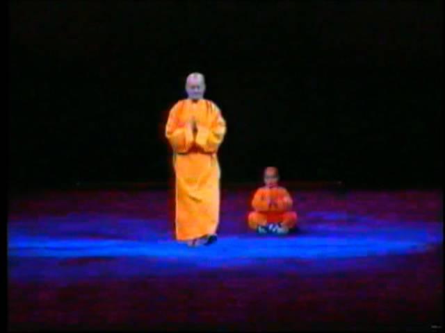 Shaolin Kungfu Master Shi Yan Feng .wmv