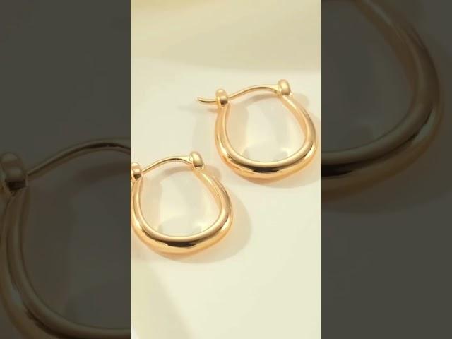 Gold Hoop Earrings 14K Gold Hoop Earrings for Women