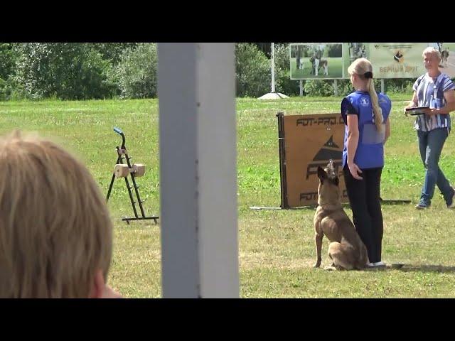 2022 IGP CACT Russia Knyazhevo 33 Sirotkina Marina 53 Yassaman Rokki V Sozvezdii Lun (Malinois) B87