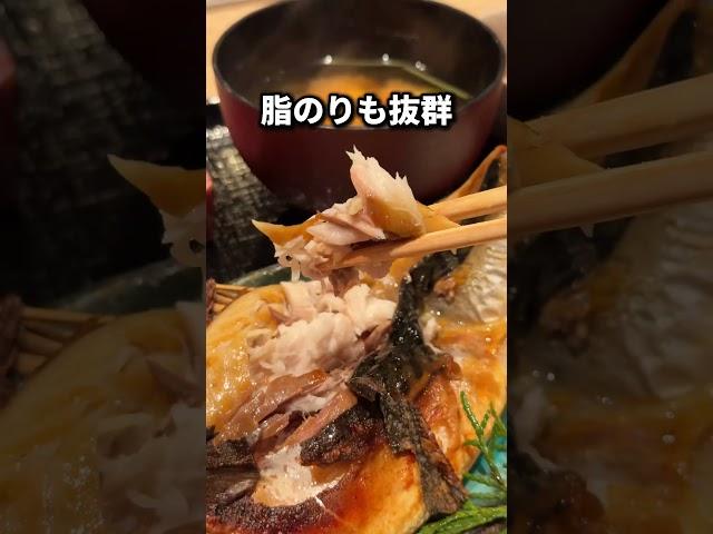 【NEW OPEN】最近できた焼き魚ランチが当たりだった！？【新宿】