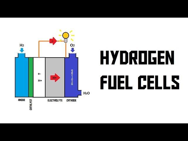 How does a hydrogen fuel cell work? (AKIO TV)