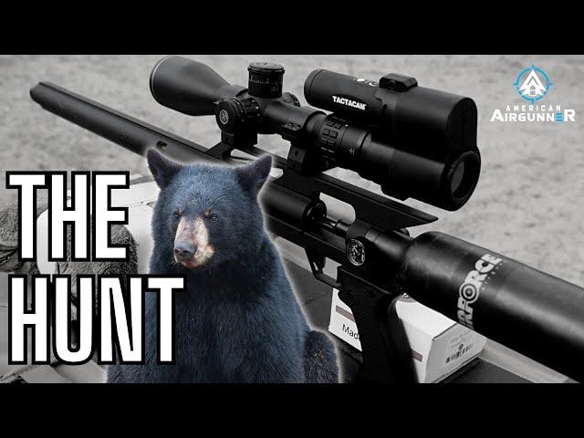 Airguns Taking BIG Game | American Airgunner