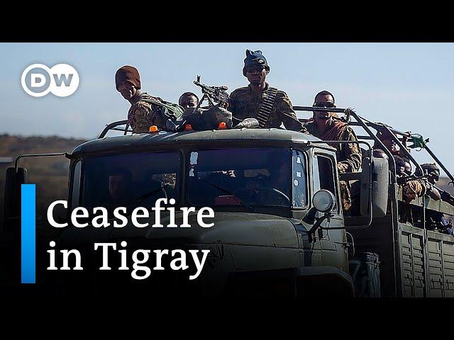 Ethiopian government declares ceasefire in Tigray | DW News