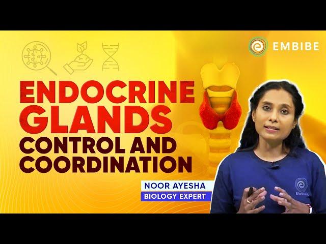 Endocrine Glands: Hypothalamus and Pituitary | Control & Coordination | Biology | Noor Ayesha