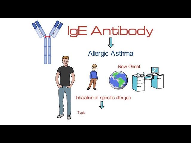 Precision Medicine: Understanding Asthma Endotypes and Phenotypes