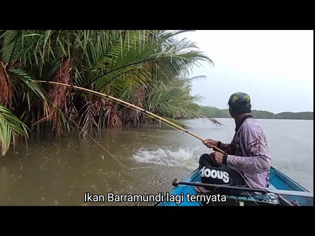 Daring to fish during thunderstorms, thank God... there was a blessing of three Barramundi fish