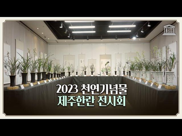 2023 제주한란전시관 '제주한란&수묵전시회'에서 청향과 묵향을 동시에 누리다!