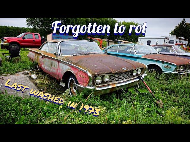 rare field find left for dead 60s Ford gets its first wash since 1973.